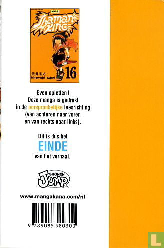 Shaman King 16