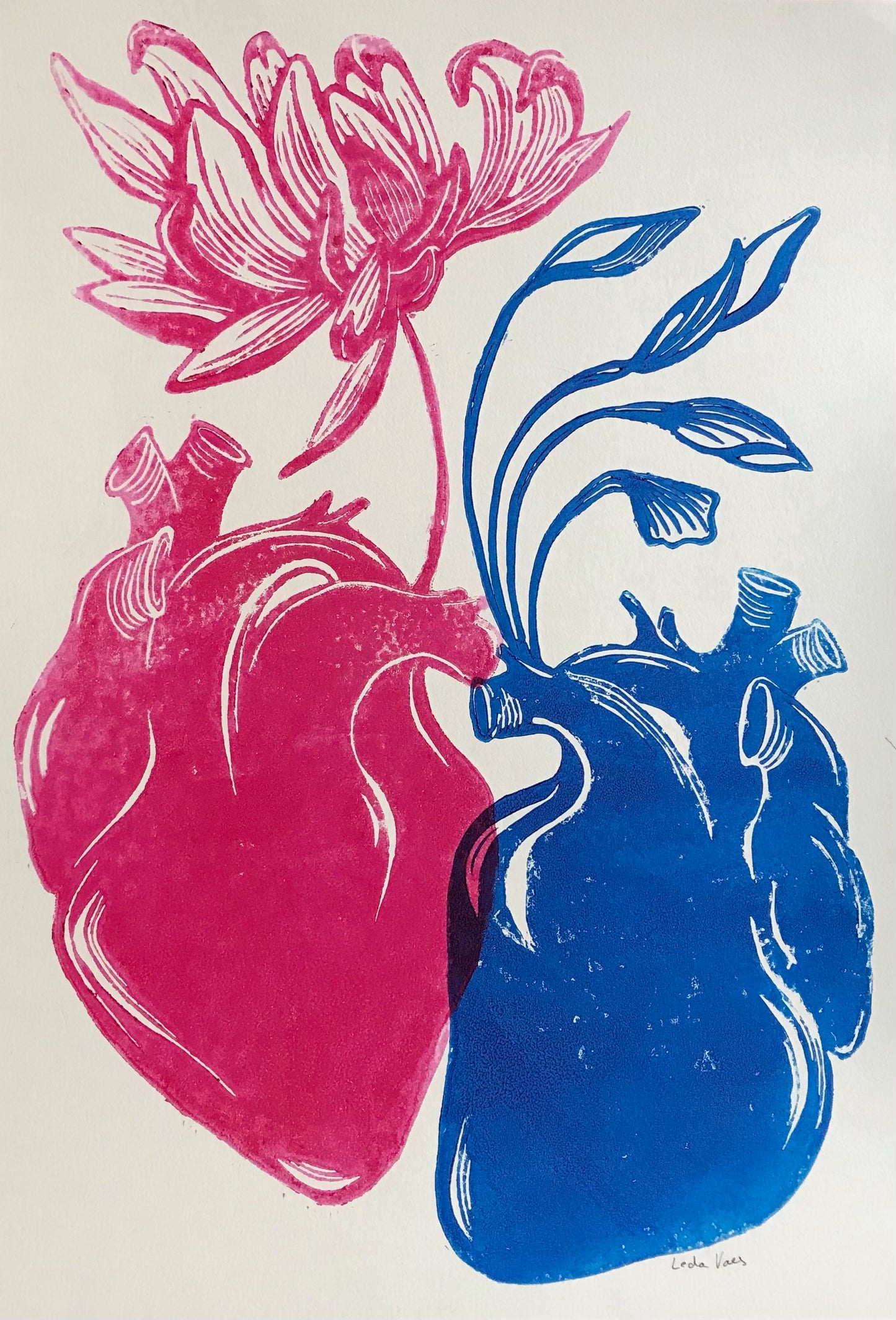 Handmade linocut print ‘Rebirth’ by Belgian artist Leda Vaes featuring a pink anatomical heart blooming into a flower and a blue heart growing flowing leaves, symbolizing renewal, connection, and new beginnings; high-contrast artistic print on textured paper.