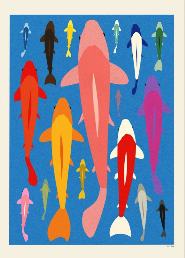Koi Gang by Rosi Feist – 30x40 cm colorful art print featuring a school of koi fish in bold pop-art style. Minimalist paper-cut inspired illustration with vibrant blue background and bright graphic shapes. Modern wall art for Japanese-inspired interiors.