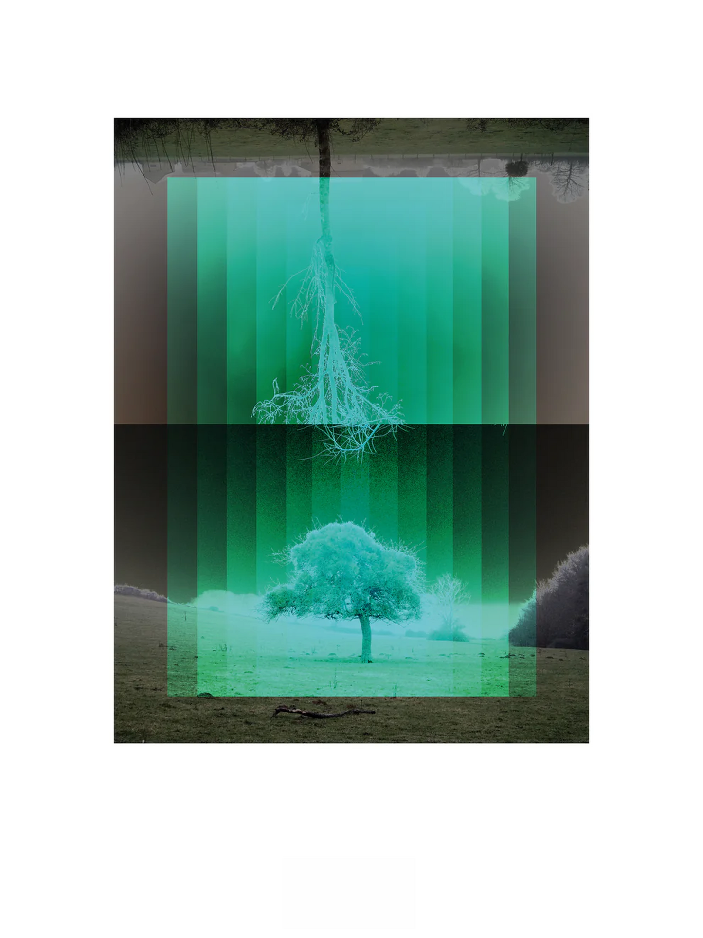 Nordic-inspired art print Träd by Studio Frits – a minimalist digital artwork by Belgian illustrator Gert Paenen featuring mirrored trees in green gradients, symbolizing nature, reflection, and Scandinavian calm. Perfect wall art for modern, nature-inspired homes in Belgium, the Netherlands, France, and Germany.