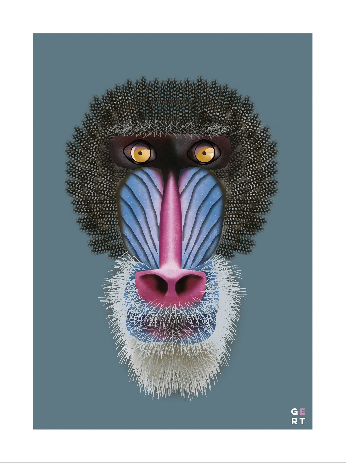 Colorful mandrill monkey portrait illustration art print by Studio Frits (Gert Paenen), modern wildlife wall art with vibrant blue and pink tones.