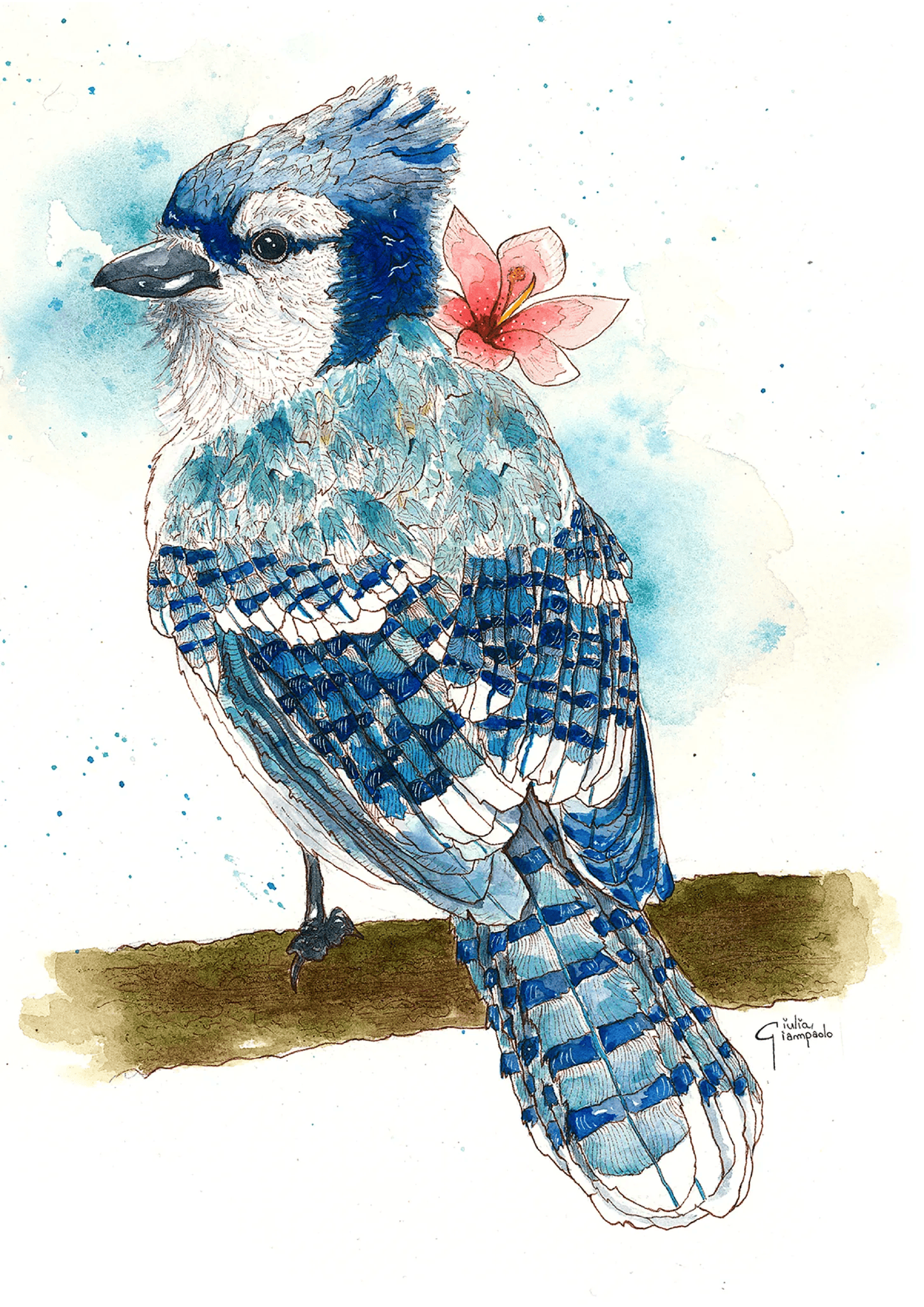 Blue jay watercolor art print by Giu, featuring a detailed blue bird perched on a branch with soft blue tones and a pink flower, contemporary nature wall art, A4 illustration