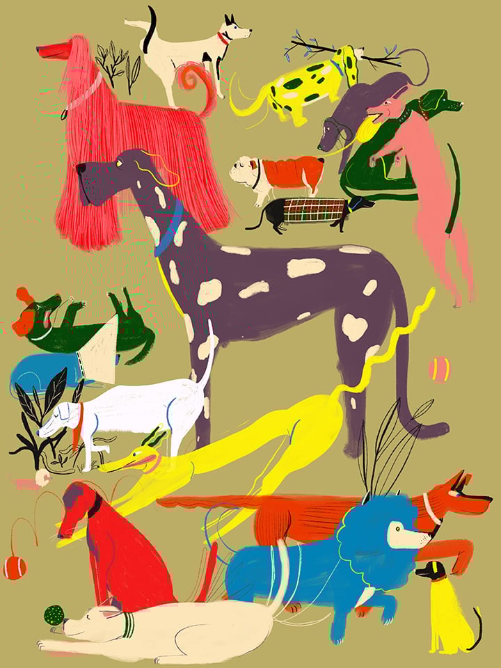 Colourful Giclée art print by Miguel Manich featuring a playful group of dogs in various shapes, colours and sizes, printed on high-quality matte paper, signed by the artist.