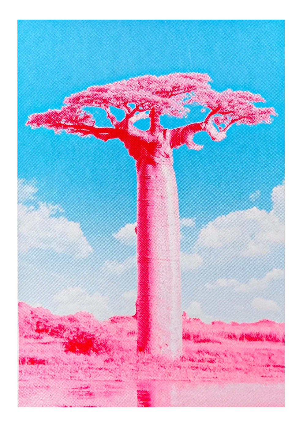 Fluor pink and blue silkscreen art print of a Baobab tree by PTRVRKD, modern handmade A2 screen print on 250 gsm paper, limited edition of 25.