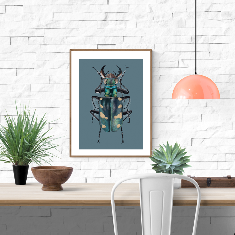 Dune Tiger Beetle” art print by Studio Frits – hyper-detailed illustration of a metallic blue-green beetle with cream spots, perfect for modern insect-themed decor and nature-inspired wall art, available at Galerie Frits