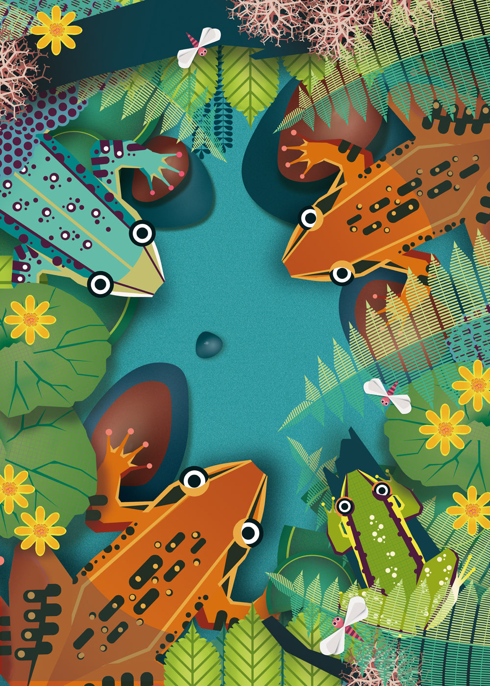 Colorful frog illustration by Studio Frits, playful jungle animal art print with bold graphic style.