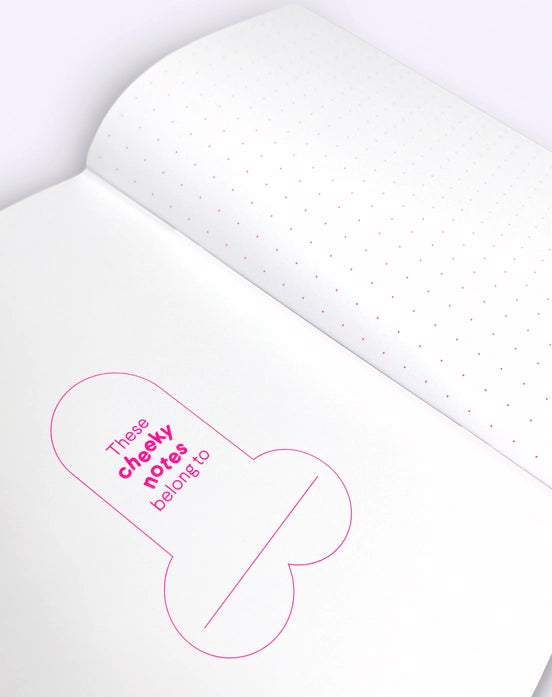 Set of two A5 notebooks by Dicks Don't Lie featuring humorous naked male figure illustrations, printed on premium matte paper with neon dotted pages – ideal for funny gifts or quirky journaling.