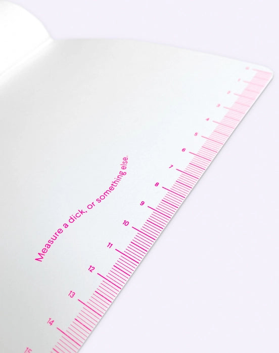 Set of two A5 notebooks by Dicks Don't Lie featuring humorous naked male figure illustrations, printed on premium matte paper with neon dotted pages – ideal for funny gifts or quirky journaling.