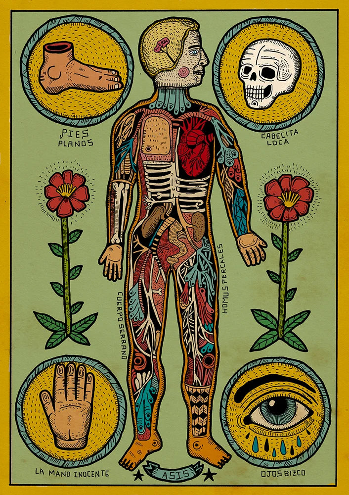 Anatomía de un cuerpo sesi by Asis Percales – A3 surreal anatomical art print inspired by tattoo culture, circus and comic aesthetics, colorful Spanish contemporary illustration, eclectic and bold wall decor.