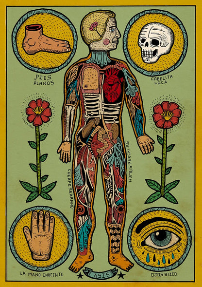 Anatomía de un cuerpo sesi by Asis Percales – A3 surreal anatomical art print inspired by tattoo culture, circus and comic aesthetics, colorful Spanish contemporary illustration, eclectic and bold wall decor.