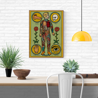 Anatomía de un cuerpo sesi by Asis Percales – A3 surreal anatomical art print inspired by tattoo culture, circus and comic aesthetics, colorful Spanish contemporary illustration, eclectic and bold wall decor.