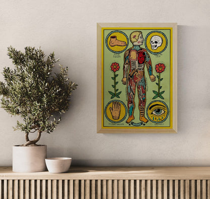 Anatomía de un cuerpo sesi by Asis Percales – A3 surreal anatomical art print inspired by tattoo culture, circus and comic aesthetics, colorful Spanish contemporary illustration, eclectic and bold wall decor.