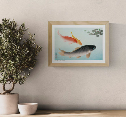 Horizontal Japanese art print by Ohara Koson showing red, golden and black carp swimming through pale blue water beneath dark green lily pads, ideal for calm living room or bedroom wall decor.