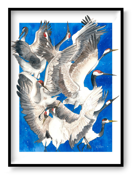 Watercolor art print titled “Caos” by Giu, featuring expressive flying cranes in motion on a deep blue background, printed in Belgium, contemporary illustration, 30 x 40 cm wall art for modern home decor.
