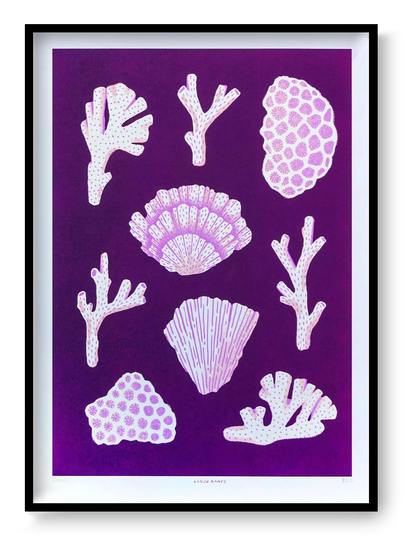 A3 giclée art print “Corals” by Linde Raats, pink coral shapes on a purple background, bold ocean-inspired wall art for modern home decor.