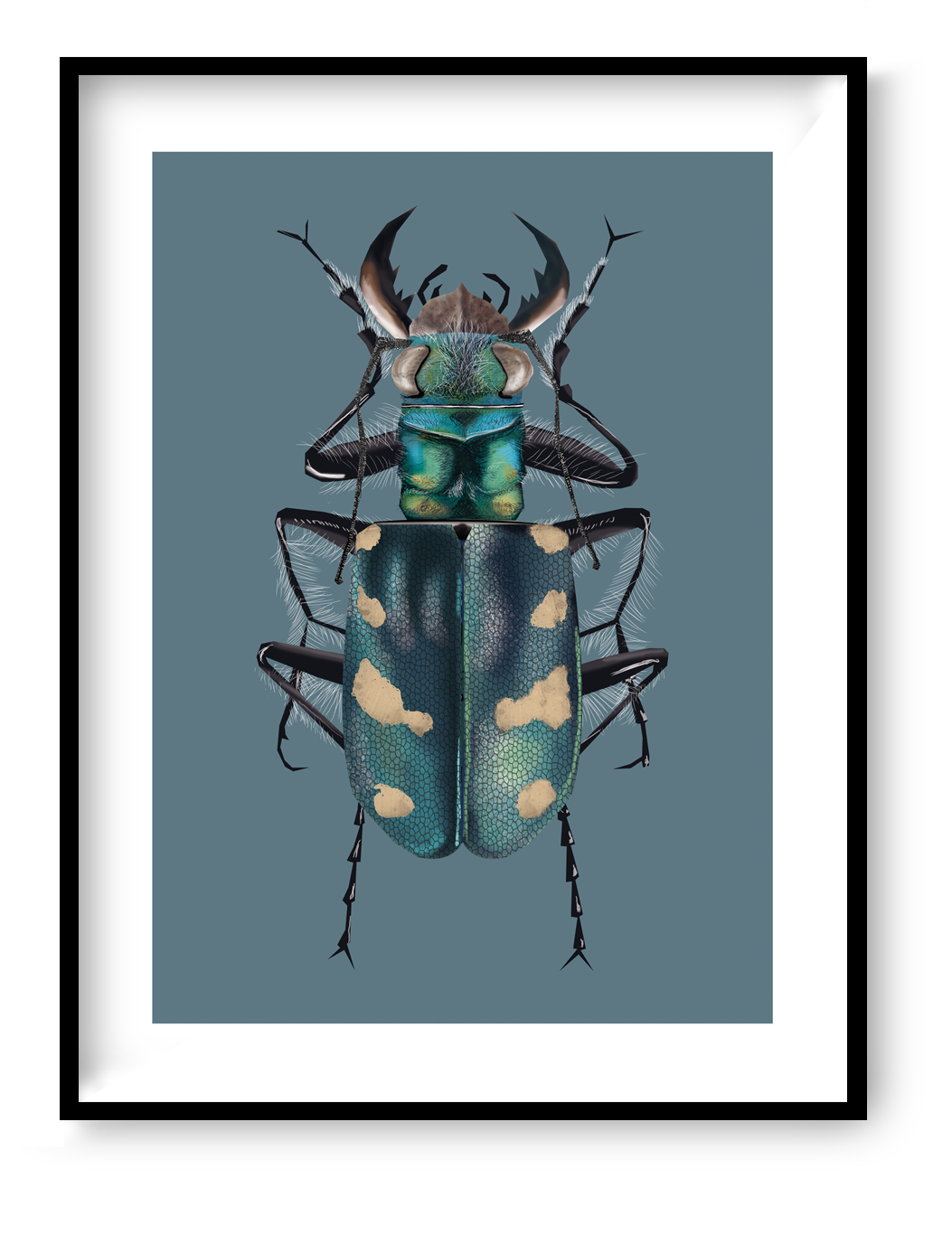30x40 cm art print “Dune Tiger Beetle” by Studio Frits, colorful graphic beetle illustration inspired by nature, modern wall art for contemporary interiors.