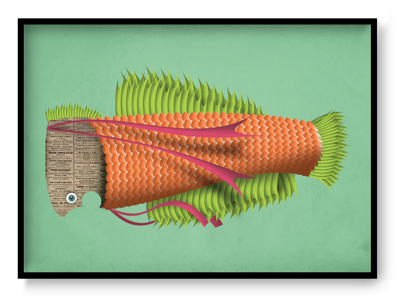 A4 art print “Eduard the Fish” by Studio Frits, colorful graphic fish illustration with textured details, playful wall art for modern interiors.