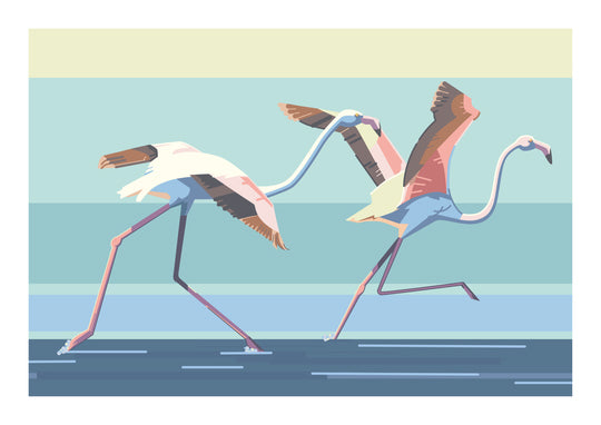 Contemporary A3 art print titled Take off by Belgian duo Floor 4 Productions. Features two flamingos mid-run across a stylized water surface with bold pastel tones and geometric lines. Printed on 300g paper, perfect for colorful and energetic home decor.