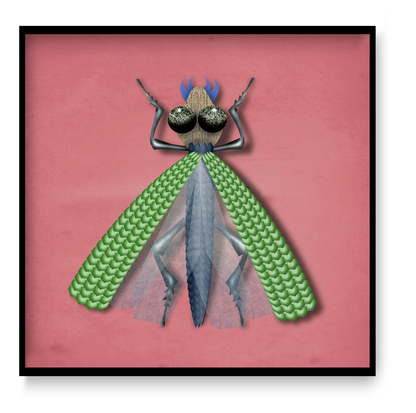 Graphic insect art print by Studio Frits featuring a stylized wasp with green wings on a pink background, modern Belgian illustration.