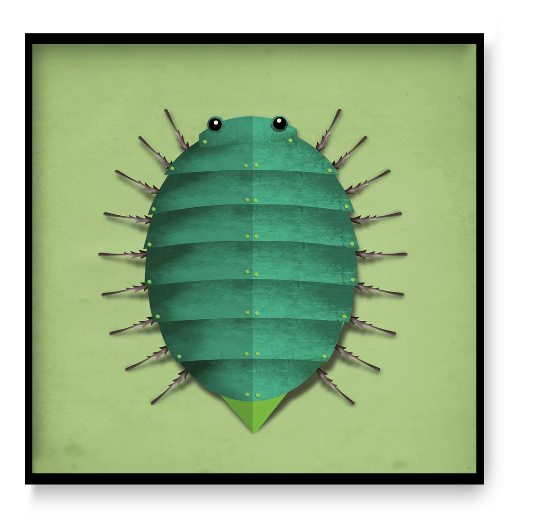 Square green beetle wall art 30x30 cm modern graphic insect illustration by Studio Frits printed on matte fine art paper