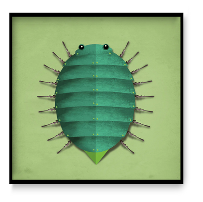 Square green beetle wall art 30x30 cm modern graphic insect illustration by Studio Frits printed on matte fine art paper