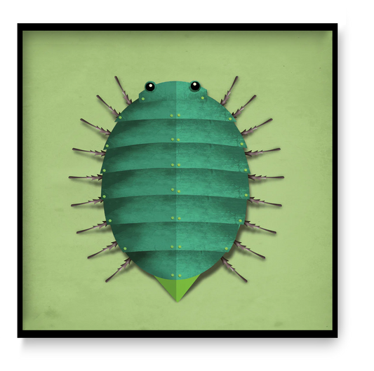 Square green beetle wall art 30x30 cm modern graphic insect illustration by Studio Frits printed on matte fine art paper