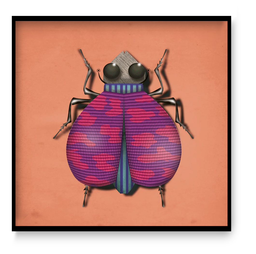 Javier Escarabajo 30x30 cm art print by Gert Paenen Studio Frits, colorful graphic beetle illustration with pink textured wings and modern contemporary design.