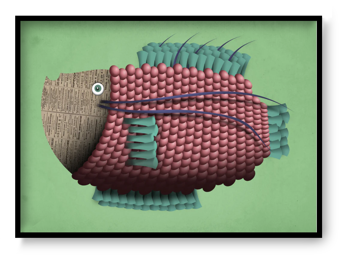 Jeanne P’oisson A4 art print by Gert Paenen Studio Frits, colorful textured fish illustration with newspaper collage head and modern graphic design.