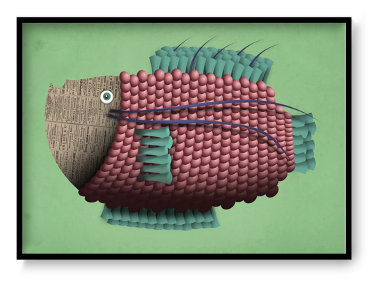Jeanne P’oisson A4 art print by Gert Paenen Studio Frits, colorful textured fish illustration with newspaper collage head and modern graphic design.
