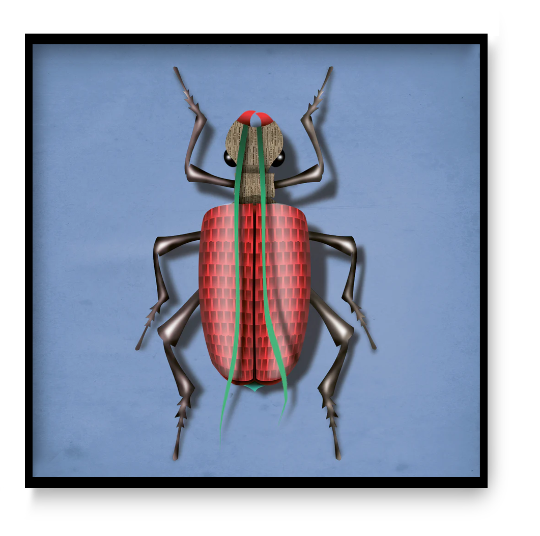 Klaus Käfer beetle art print by Studio Frits, 30 x 30 cm square digital illustration of a bold red geometric beetle on blue background, modern contemporary wall art.