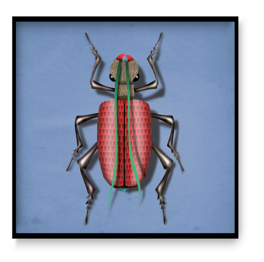 Klaus Käfer beetle art print by Studio Frits, 30 x 30 cm square digital illustration of a bold red geometric beetle on blue background, modern contemporary wall art.