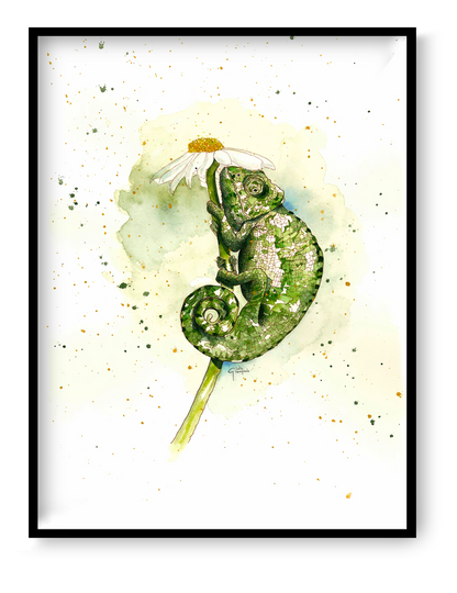 La Señora Carmen fine art giclée print by Giu Watercolor featuring a detailed green chameleon curled around a white daisy, delicate watercolor illustration, 30 x 40 cm nature wall art for modern home decor.