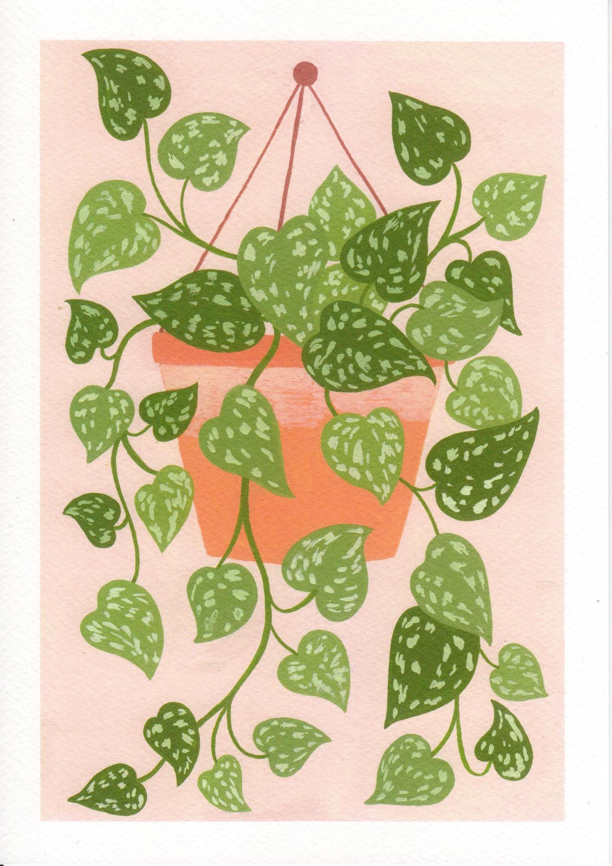 Digital art print titled “Scindapsus” by Belgian illustrator Leens, featuring a lush cascading houseplant with heart-shaped green leaves in a terracotta hanging pot, against a soft pink background. Printed on A4 fine art paper.