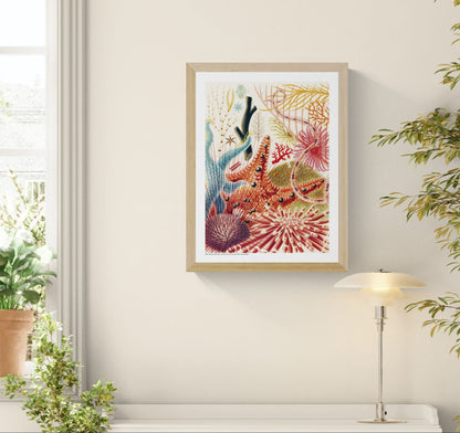 Vertical vintage natural history illustration of colourful echinoderms, sea urchins and branching marine forms in red, blue, orange and green, reproduced as a digital print for distinctive wall decor.