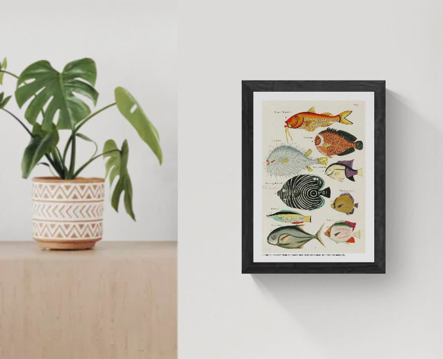 Vertical vintage marine illustration by Louis Renard featuring nine colourful tropical fish in orange, blue, black, green and yellow, digitally printed as decorative wall art for eclectic interiors.
