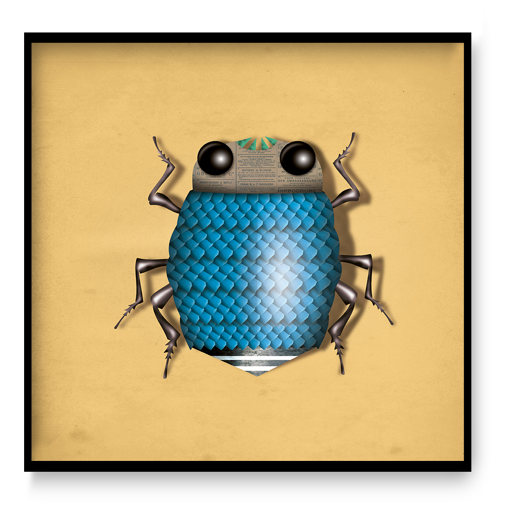 Graphic beetle illustration Magnus Tor by Studio Frits featuring a stylized blue insect with textured shell and geometric design on a minimal background.