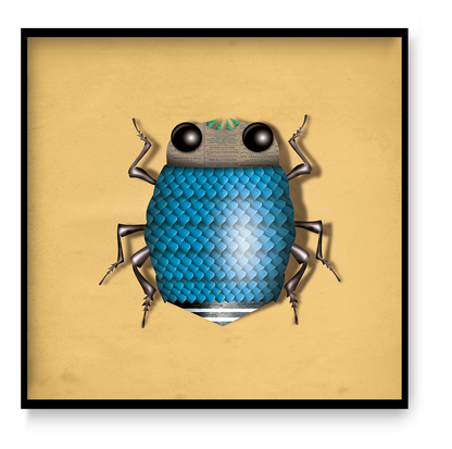 Graphic beetle illustration Magnus Tor by Studio Frits featuring a stylized blue insect with textured shell and geometric design on a minimal background.