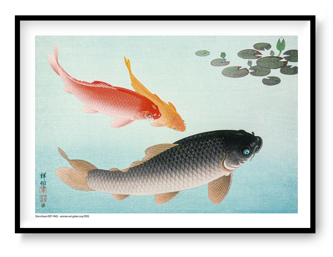 Horizontal Japanese art print by Ohara Koson showing red, golden and black carp swimming through pale blue water beneath dark green lily pads, ideal for calm living room or bedroom wall decor.