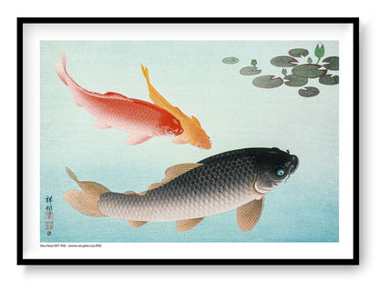 Horizontal Japanese art print by Ohara Koson showing red, golden and black carp swimming through pale blue water beneath dark green lily pads, ideal for calm living room or bedroom wall decor.