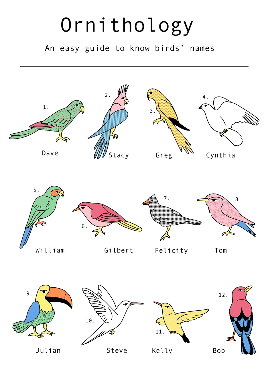 Humorous ornithology-inspired digital art print featuring twelve illustrated birds with human names in a clean infographic style. Minimalist black linework with pastel colors, portrait orientation, ideal for modern home offices, living rooms, and gallery walls.