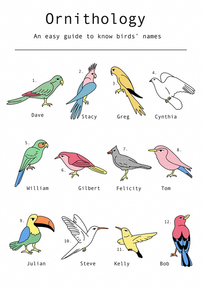 Humorous ornithology-inspired digital art print featuring twelve illustrated birds with human names in a clean infographic style. Minimalist black linework with pastel colors, portrait orientation, ideal for modern home offices, living rooms, and gallery walls.