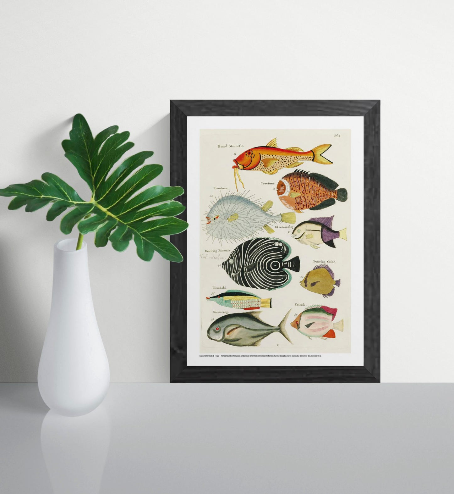 Vertical vintage marine illustration by Louis Renard featuring nine colourful tropical fish in orange, blue, black, green and yellow, digitally printed as decorative wall art for eclectic interiors.
