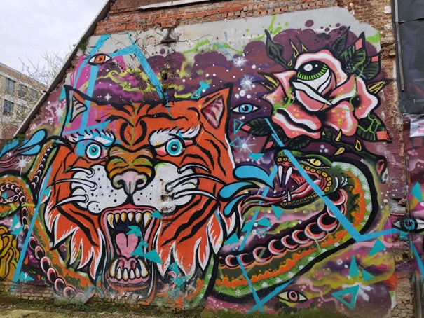 Creative Urban Safari