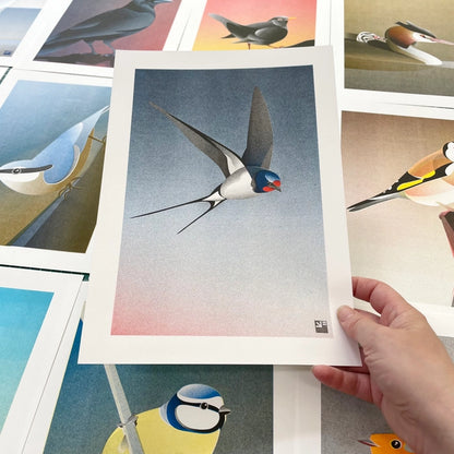 Elegant and minimalist illustration by Vrijformaat titled 'Barn Swallow,' featuring a sleek swallow in mid-flight against a smooth gradient background that transitions from soft pink to deep blue. This refined composition captures the grace and motion of the bird with clean lines and subtle texture—ideal for nature lovers, bird enthusiasts, and fans of serene, contemporary design