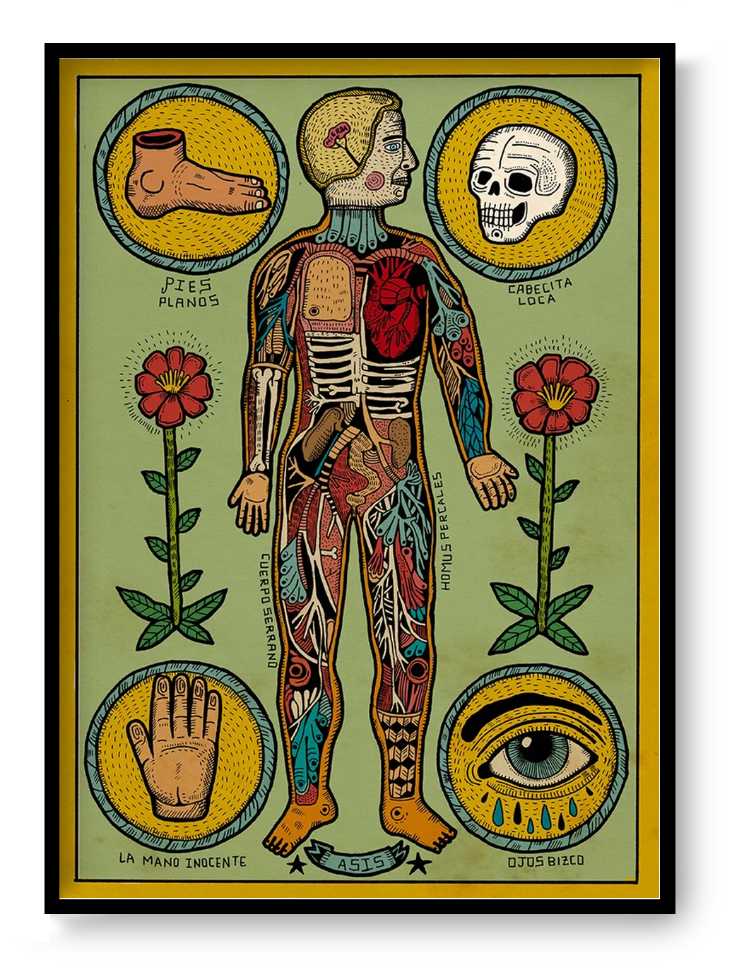 Anatomía de un cuerpo sesi by Asis Percales – A3 surreal anatomical art print inspired by tattoo culture, circus and comic aesthetics, colorful Spanish contemporary illustration, eclectic and bold wall decor.