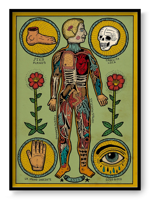 Anatomía de un cuerpo sesi by Asis Percales – A3 surreal anatomical art print inspired by tattoo culture, circus and comic aesthetics, colorful Spanish contemporary illustration, eclectic and bold wall decor.
