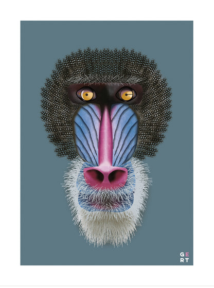 Colorful mandrill monkey portrait illustration art print by Studio Frits (Gert Paenen), modern wildlife wall art with vibrant blue and pink tones.