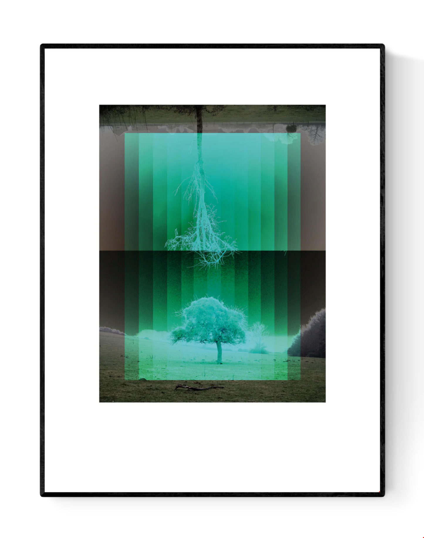 Nordic-inspired art print Träd by Studio Frits – a minimalist digital artwork by Belgian illustrator Gert Paenen featuring mirrored trees in green gradients, symbolizing nature, reflection, and Scandinavian calm. Perfect wall art for modern, nature-inspired homes in Belgium, the Netherlands, France, and Germany.