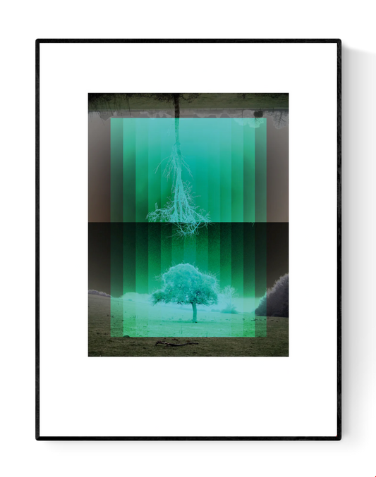 Nordic-inspired art print Träd by Studio Frits – a minimalist digital artwork by Belgian illustrator Gert Paenen featuring mirrored trees in green gradients, symbolizing nature, reflection, and Scandinavian calm. Perfect wall art for modern, nature-inspired homes in Belgium, the Netherlands, France, and Germany.