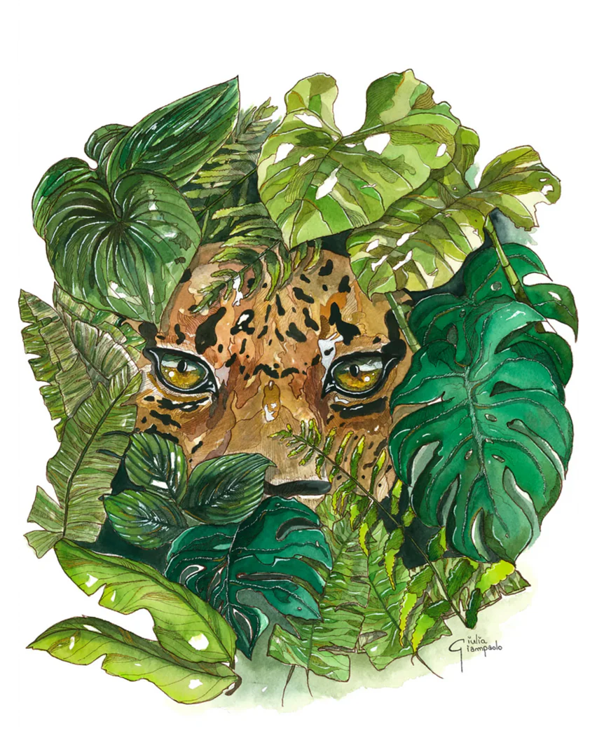 Leopard eyes hidden in tropical green leaves watercolor art print, jungle animal illustration by Giu Watercolor, 30x40 cm fine art wall decor.